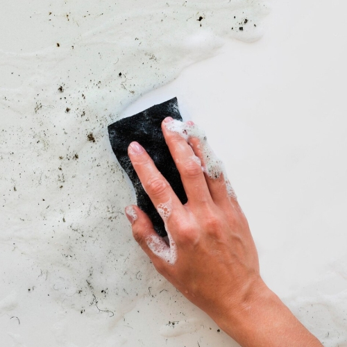 wall
